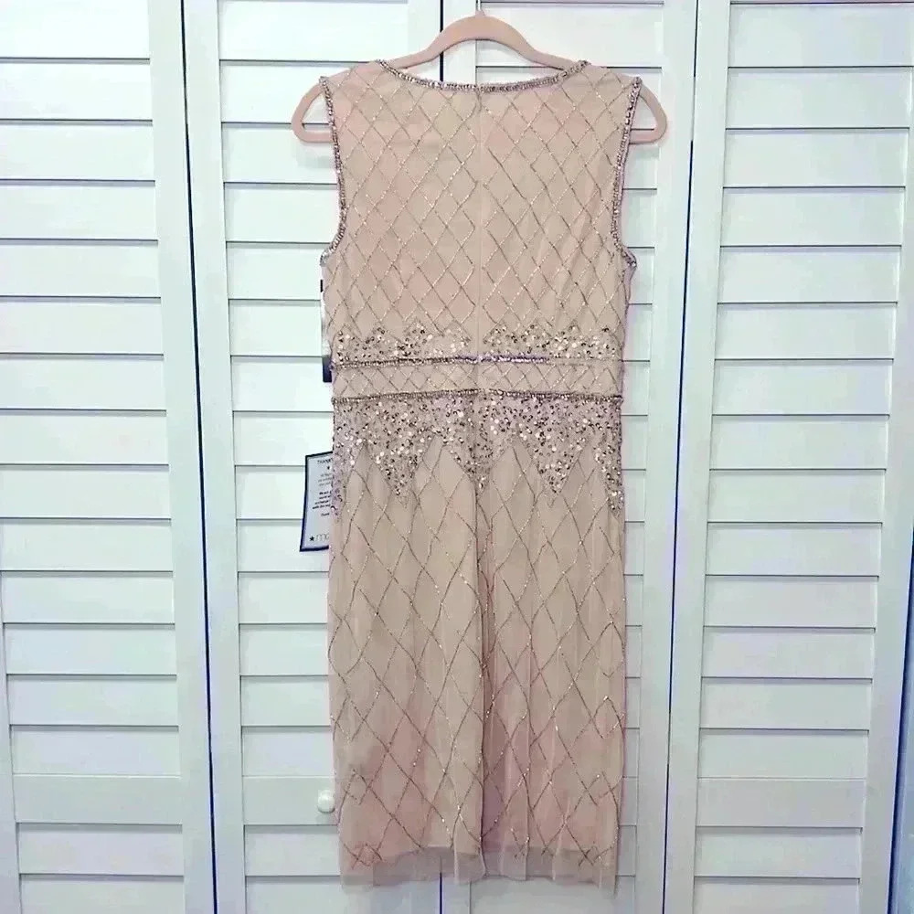Adrianna Papell Blush Lace Dress - Picture 14 of 16
